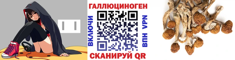 Галлюциногенные грибы мицелий  omg как зайти  Чишмы 